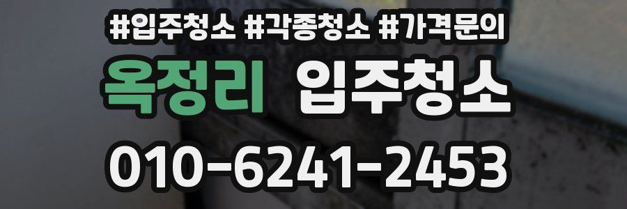 옥정리 이사청소