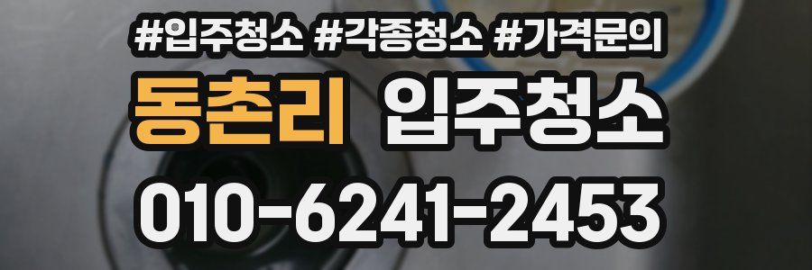 동촌리 이사청소