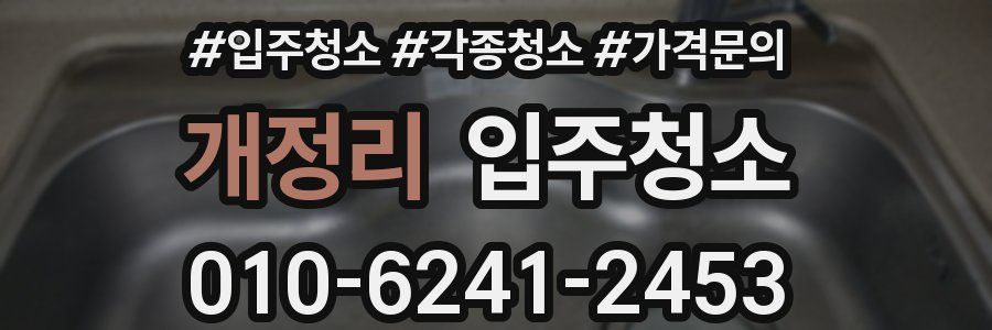 개정리 이사청소