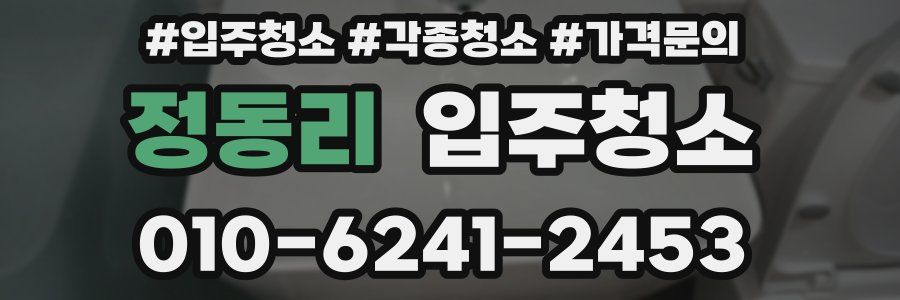 정동리 이사청소