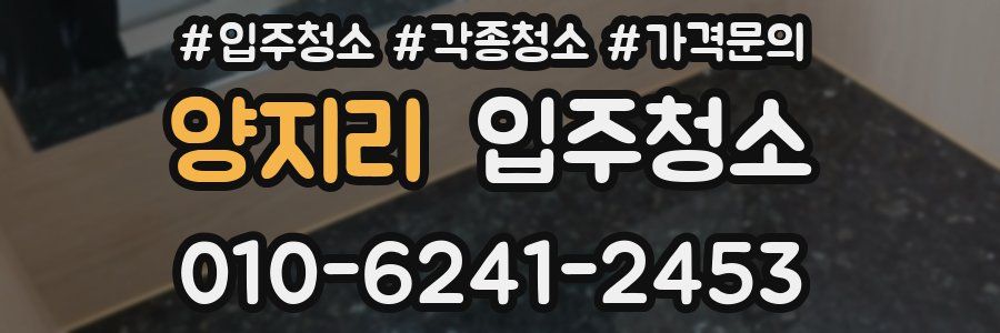 양지리 이사청소