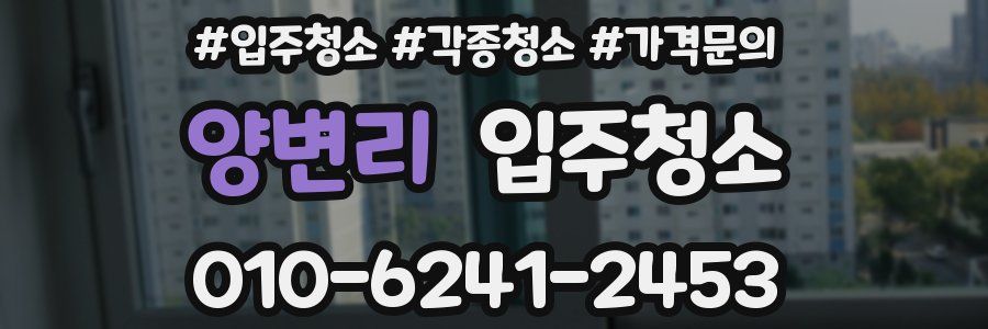 양변리 이사청소