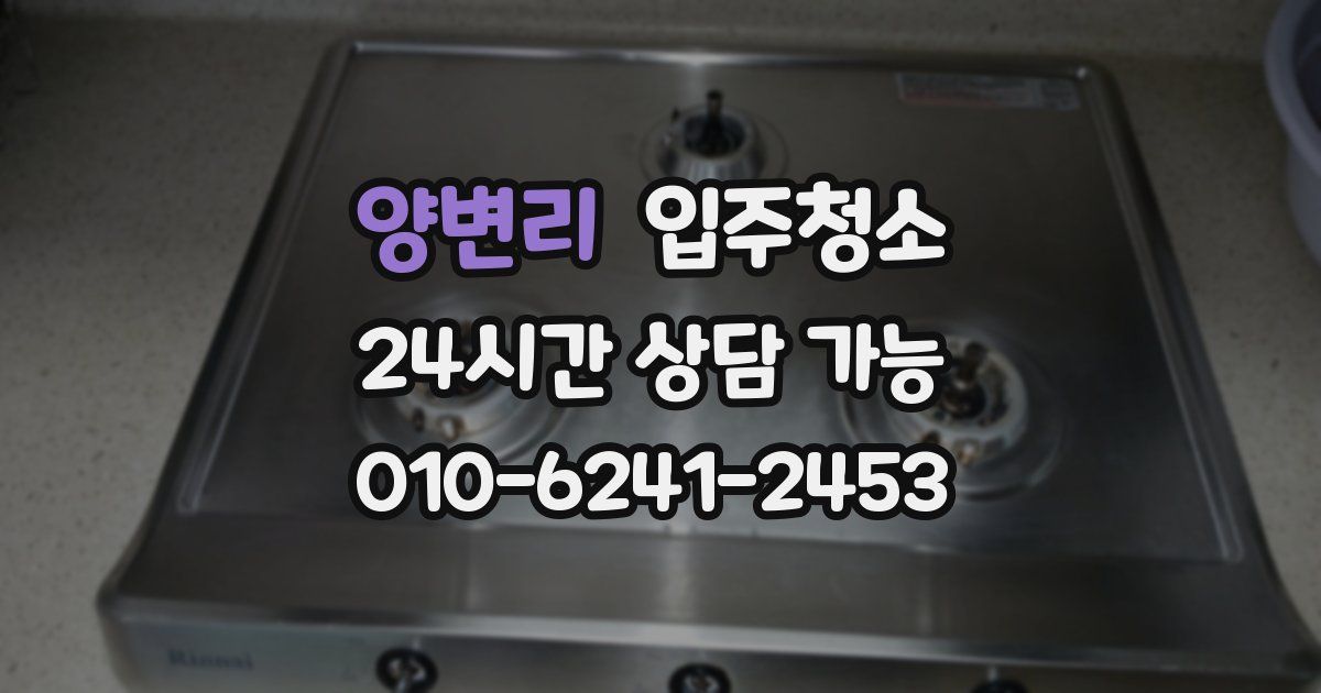 양변리 입주청소