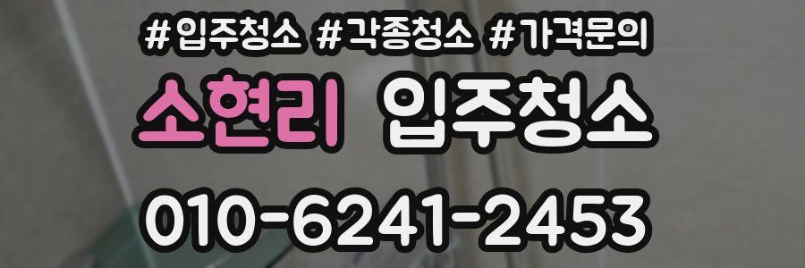 소현리 이사청소