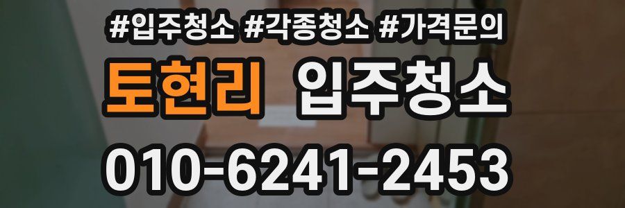 토현리 이사청소