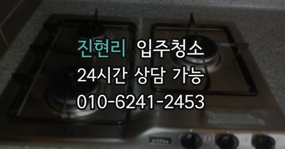 진현리 입주청소