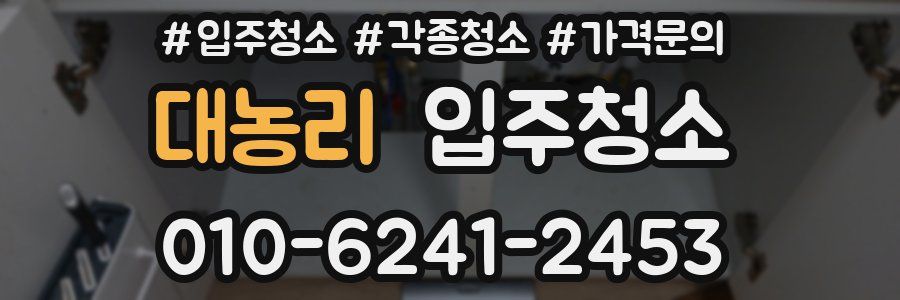 대농리 이사청소