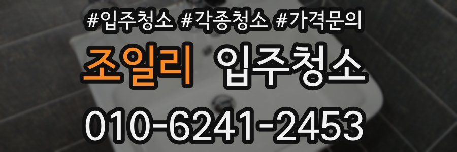 조일리 이사청소