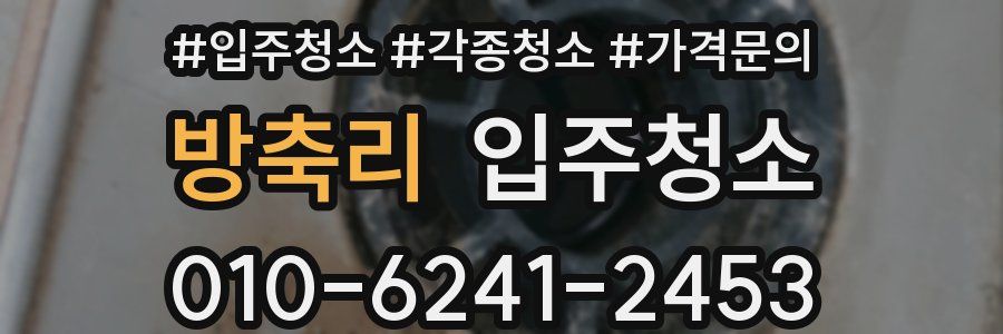 방축리 이사청소