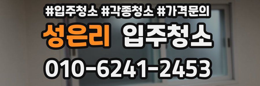 성은리 이사청소