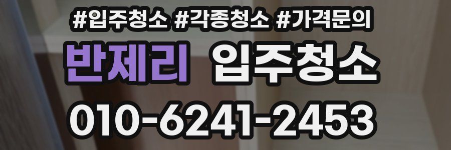 반제리 이사청소