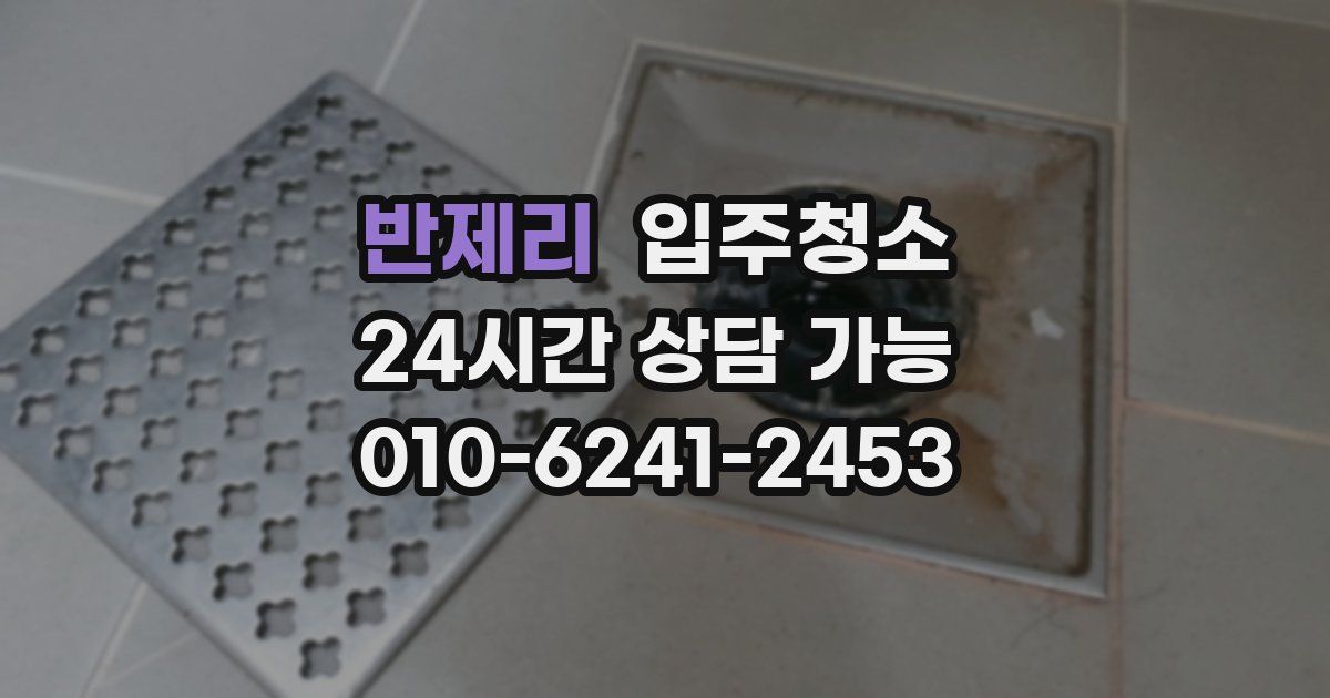 반제리 입주청소