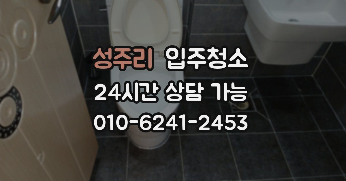 성주리 입주청소