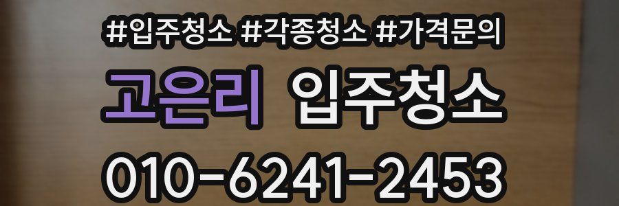 고은리 이사청소