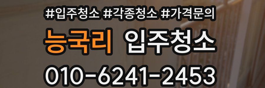 능국리 이사청소