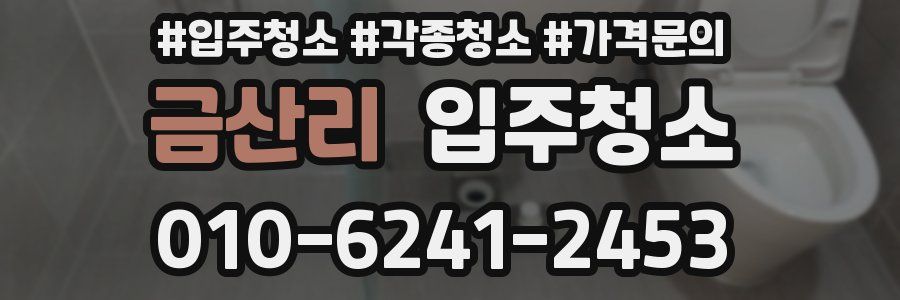 금산리 이사청소