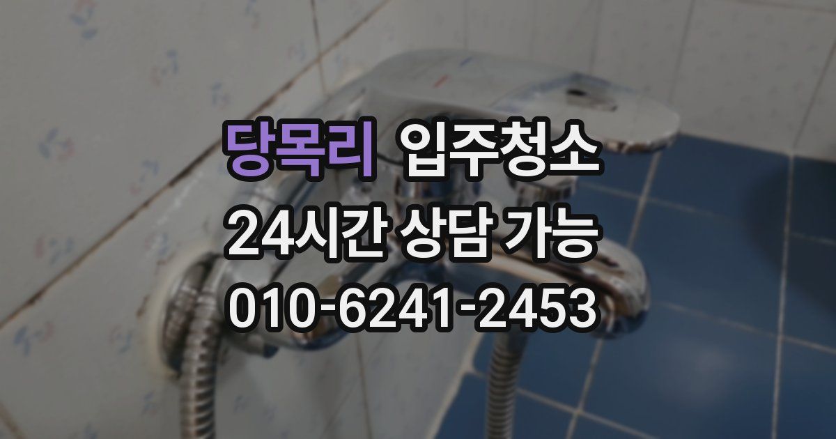 당목리 입주청소