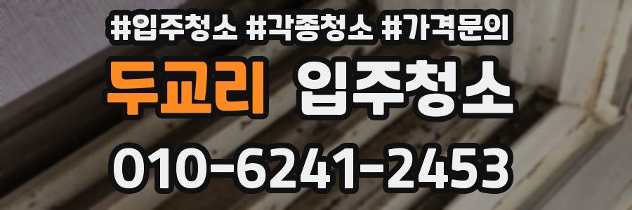 두교리 이사청소