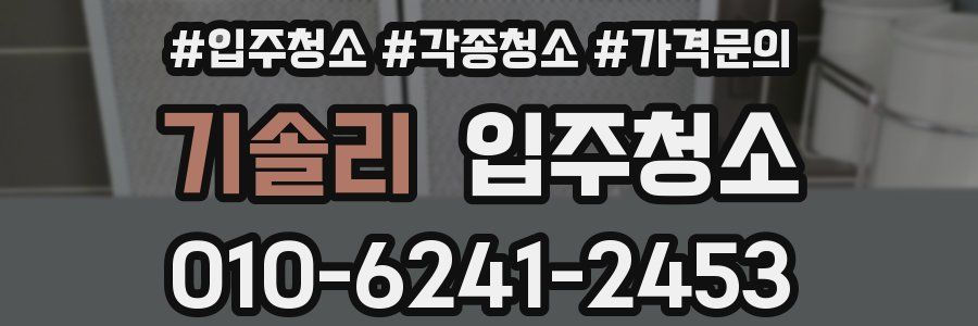 기솔리 이사청소