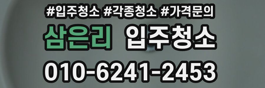 삼은리 이사청소