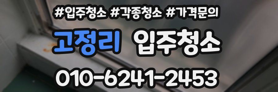 고정리 이사청소