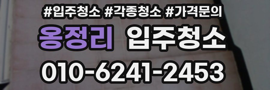 옹정리 이사청소