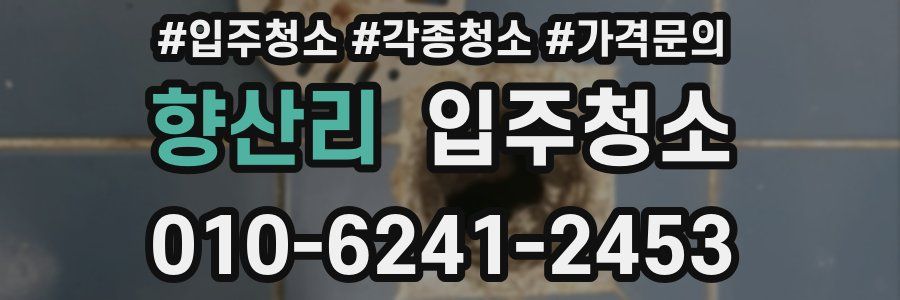 향산리 이사청소