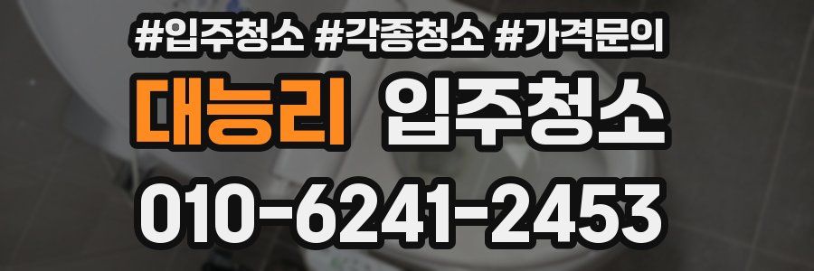 대능리 이사청소