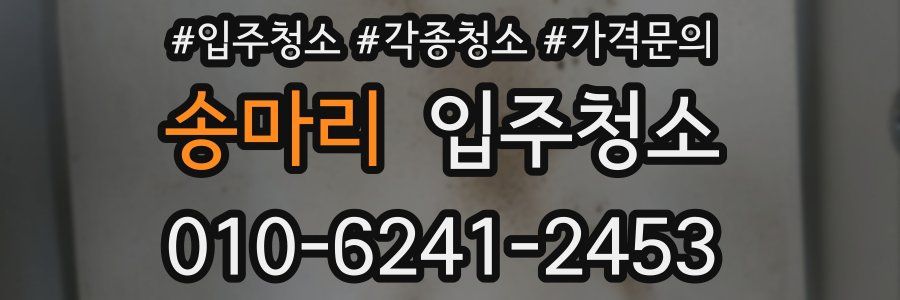 송마리 이사청소