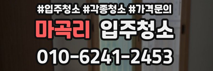 마곡리 이사청소