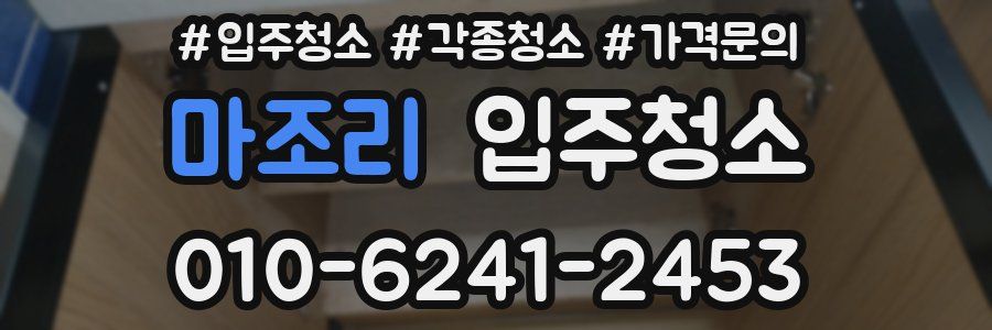 마조리 이사청소