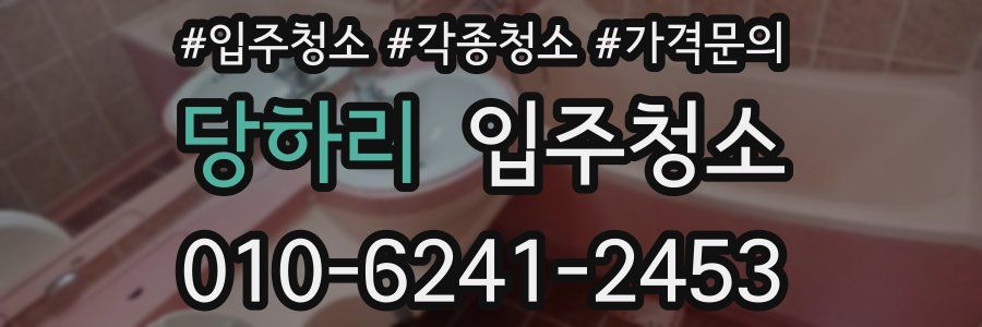 당하리 이사청소