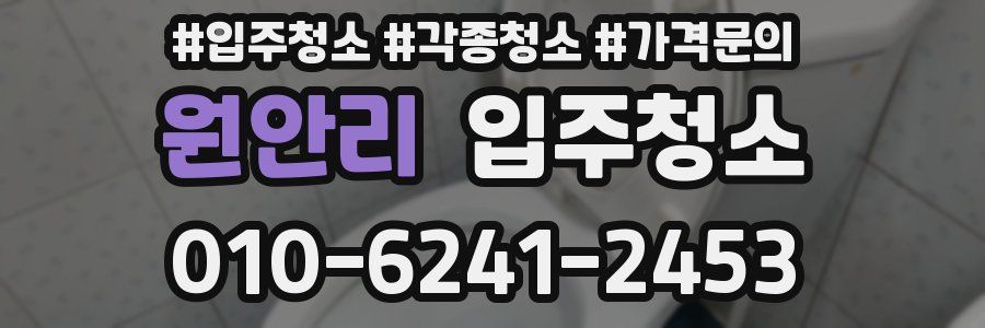 원안리 이사청소