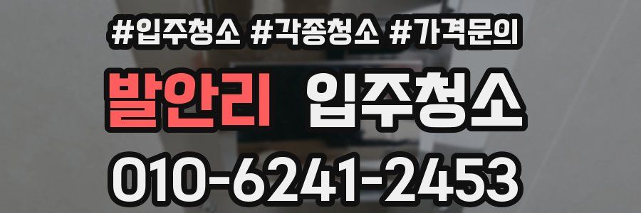 발안리 이사청소