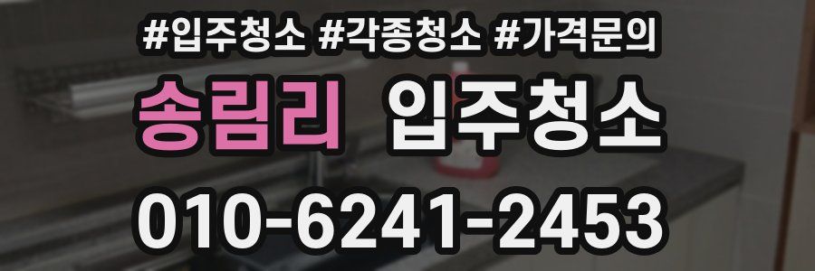 송림리 이사청소