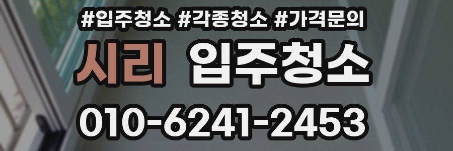 시리 이사청소