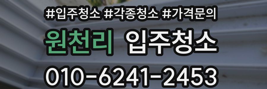 원천리 이사청소