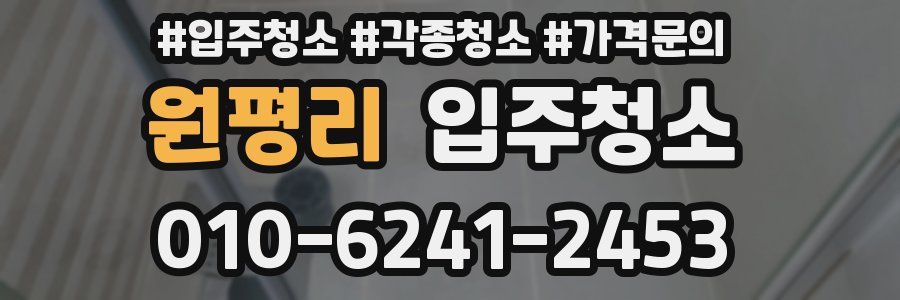 원평리 이사청소