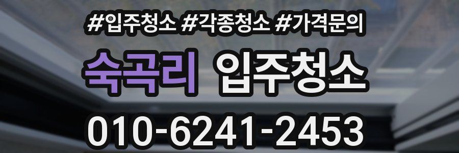 숙곡리 이사청소