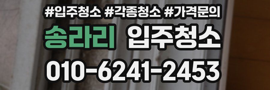 송라리 이사청소