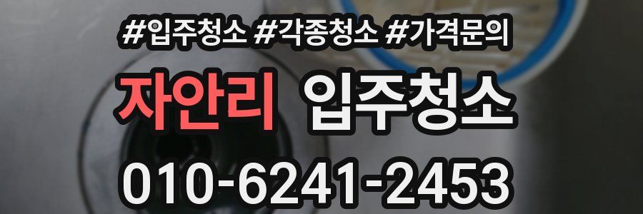 자안리 이사청소