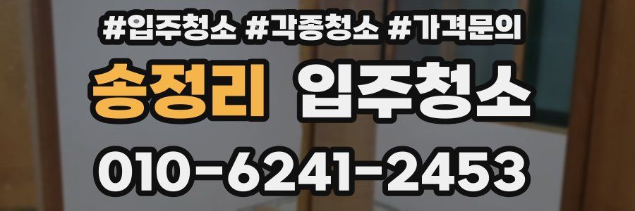 송정리 이사청소