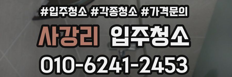 사강리 이사청소