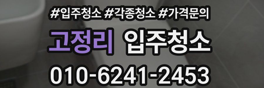 고정리 이사청소