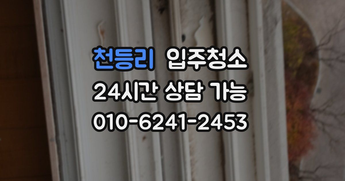 천등리 입주청소