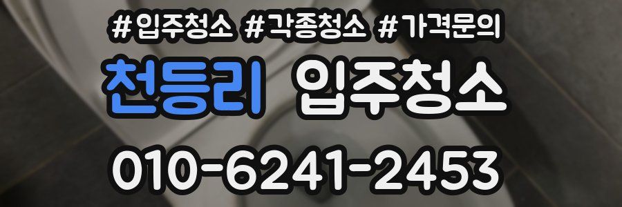 천등리 이사청소