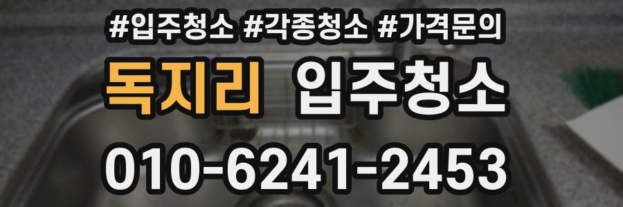 독지리 이사청소