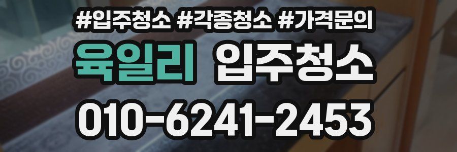 육일리 이사청소