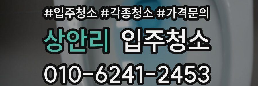 상안리 이사청소