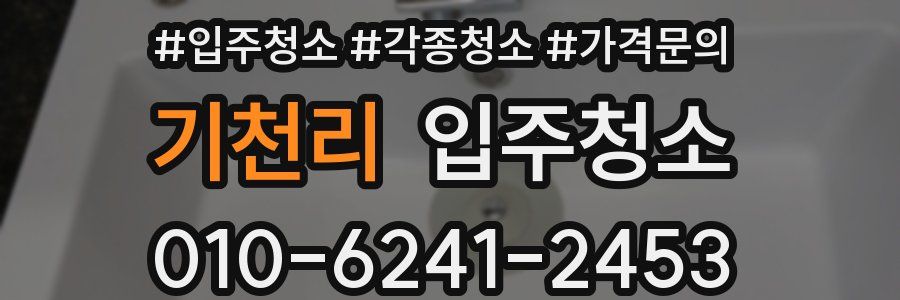 기천리 이사청소